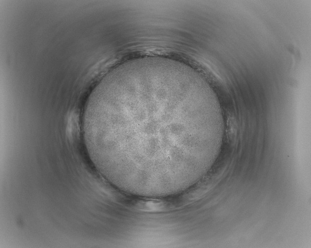 X0000115820506200911271140