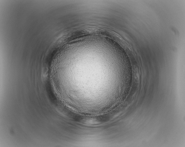 X0000115820507200911271140