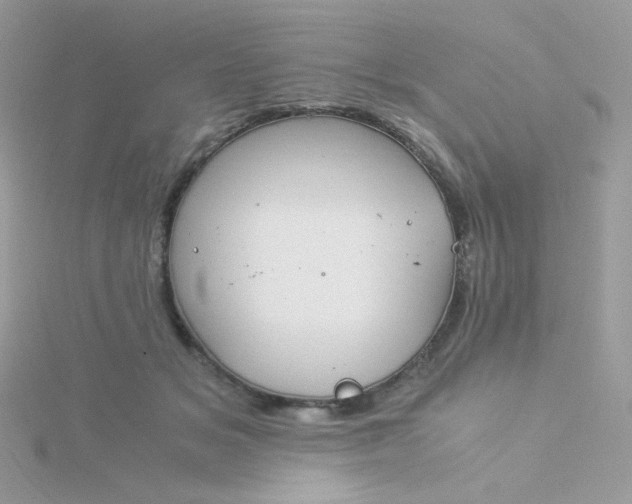 X0000115820509200911271140