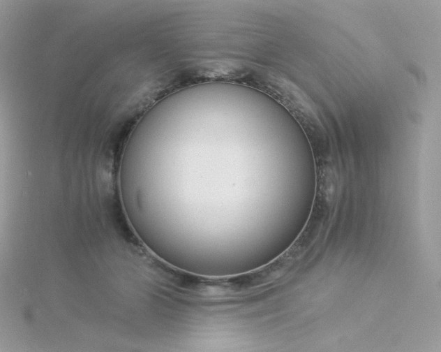 X0000115820510200911271140