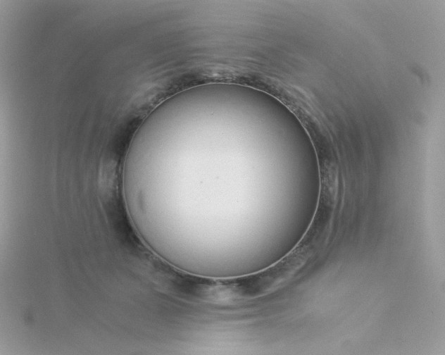 X0000115820511200911271140