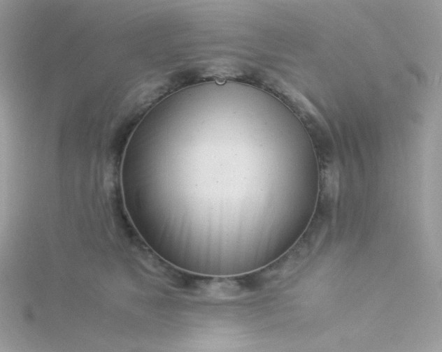 X0000115820517200911271140