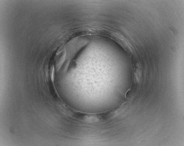 X0000115820520200911271140