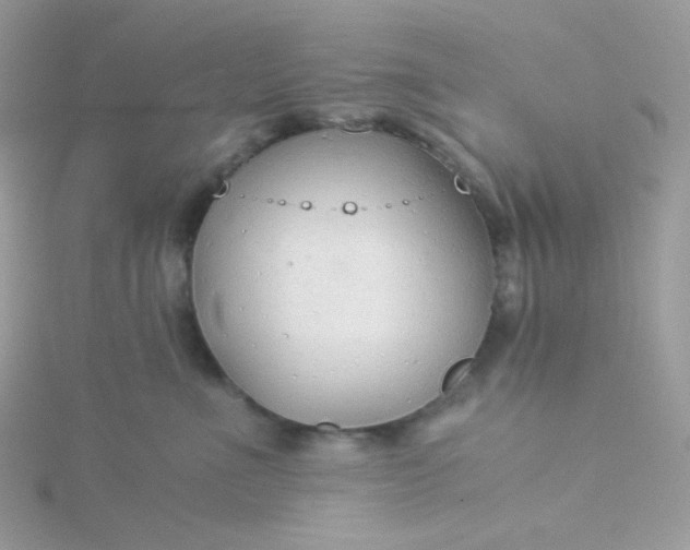 X0000115820523200911271140