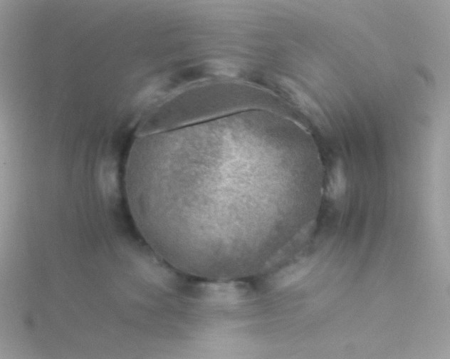 X0000115820524200911271140