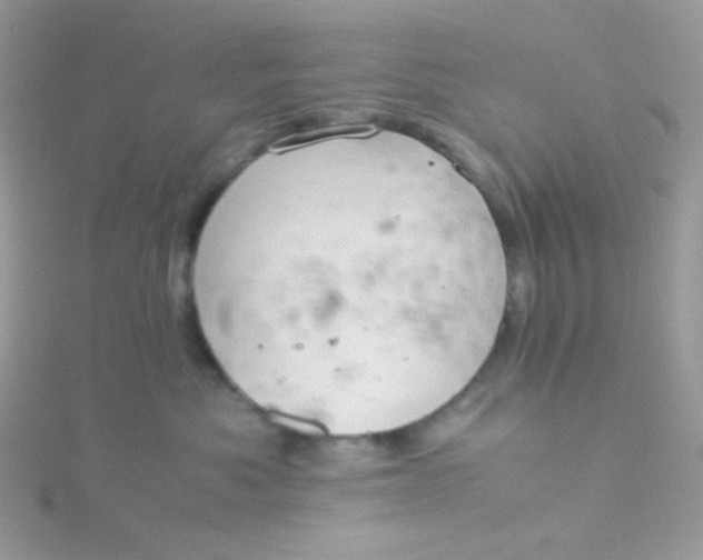 X0000115820525200911271140