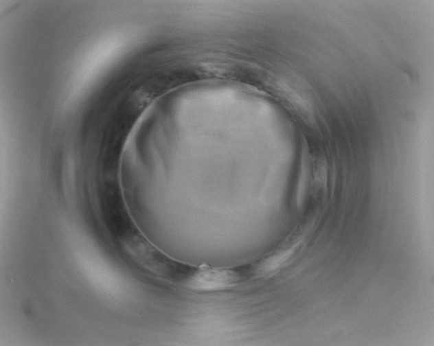 X0000115820526200911271140