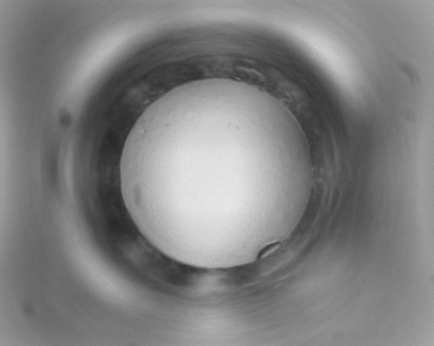 X0000115820527200911271140