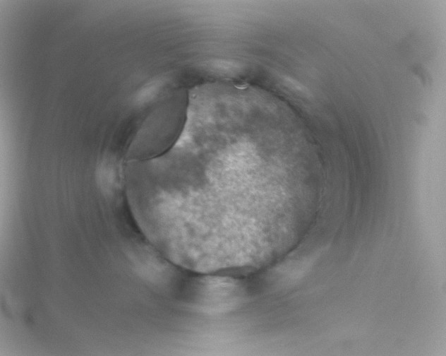 X0000115820528200911271140