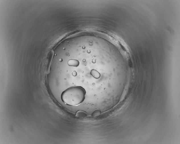 X0000115820529200911271139