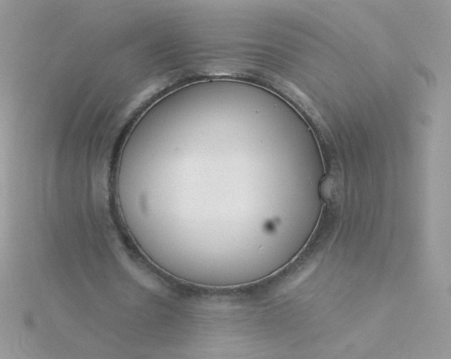 X0000115820530200911271139