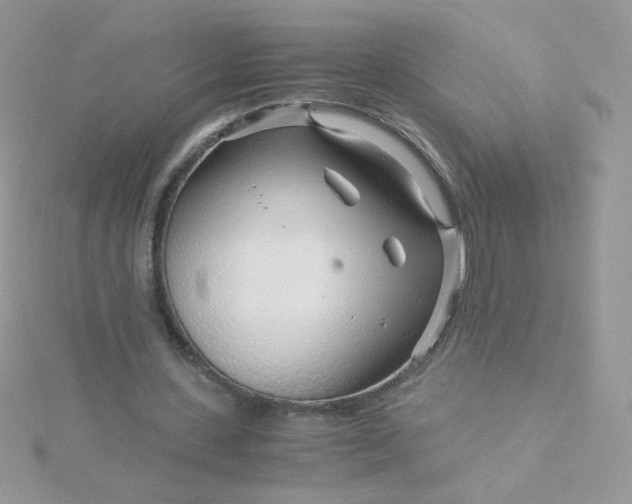 X0000115820531200911271139