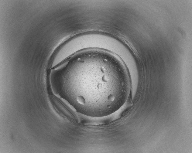 X0000115820534200911271139