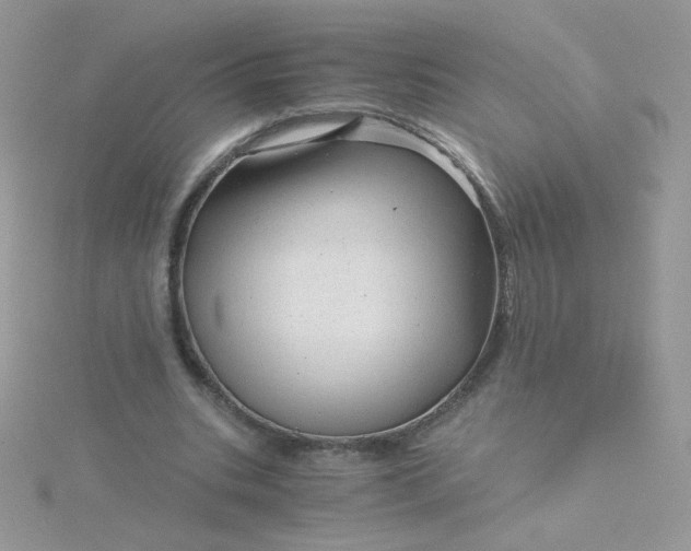 X0000115820535200911271139