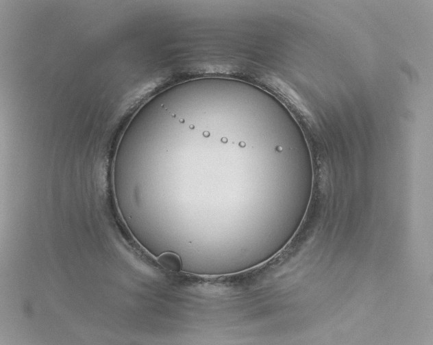 X0000115820537200911271139