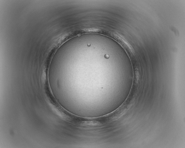 X0000115820541200911271139