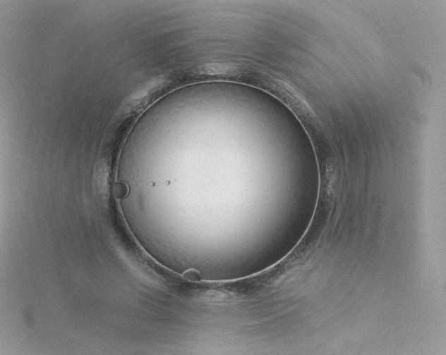 X0000115820542200911271139