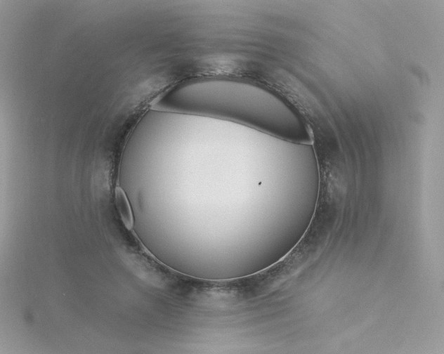 X0000115820546200911271139