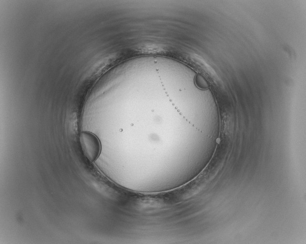 X0000115820549200911271140