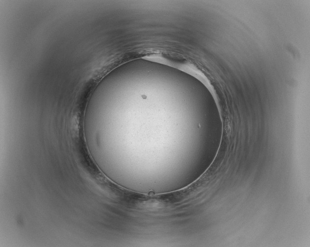 X0000115820551200911271140