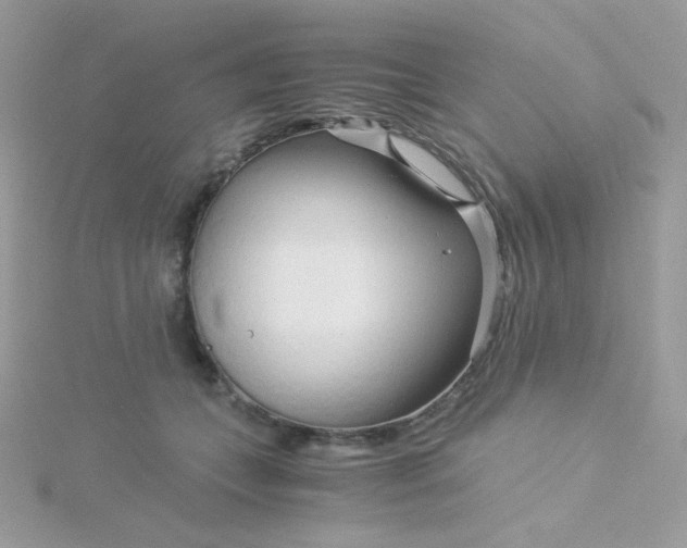 X0000115820559200911271140