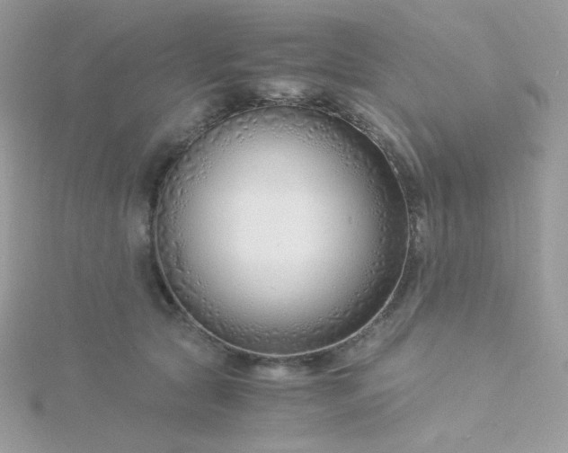 X0000115820561200911271140