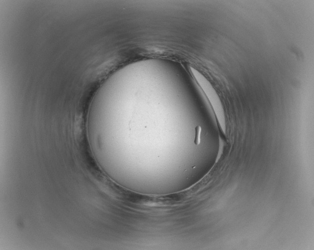 X0000115820563200911271140