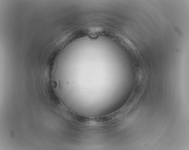 X0000115820565200911271140