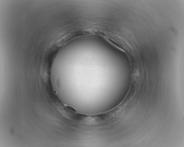 X0000115820566200911271140