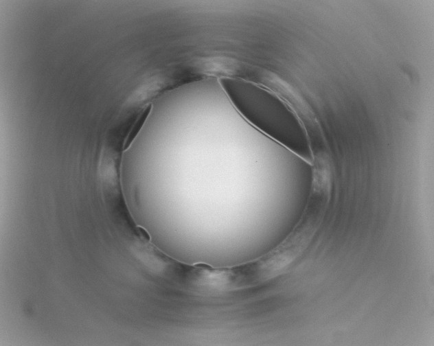 X0000115820573200911271140