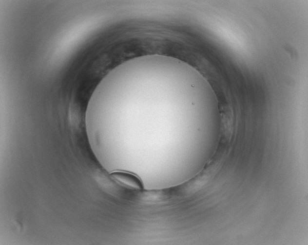 X0000115820574200911271140