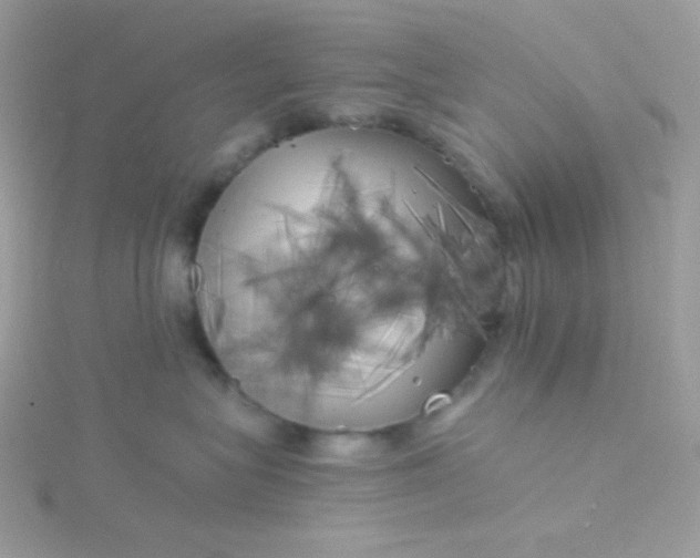 X0000115820575200911271140