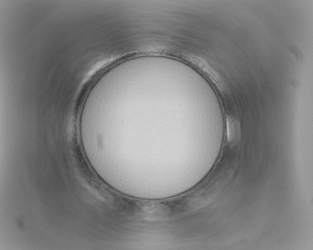 X0000115820579200911271139