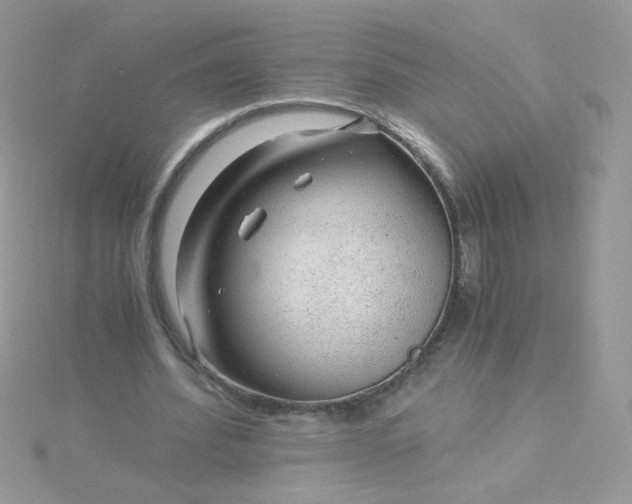 X0000115820580200911271139