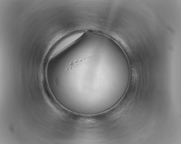 X0000115820582200911271139