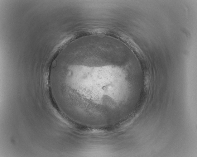 X0000115820585200911271139