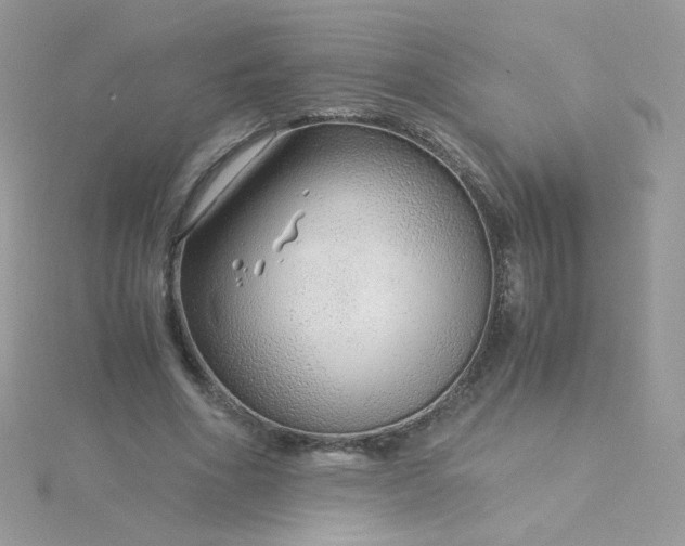 X0000115820586200911271139