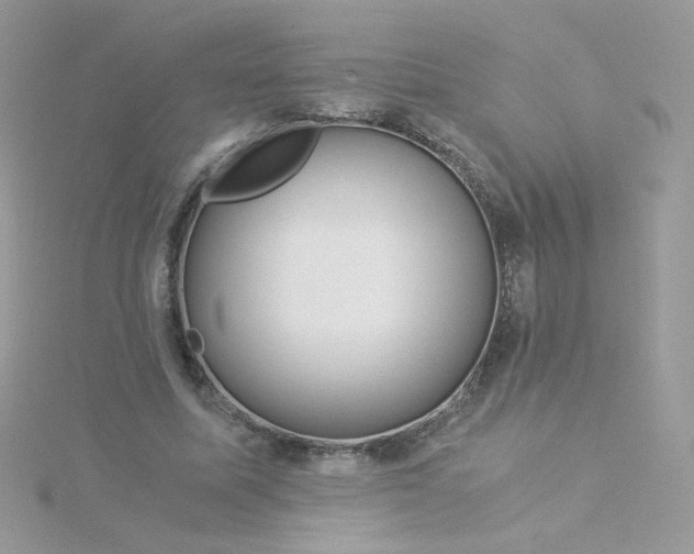 X0000115820587200911271139