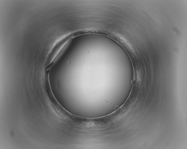 X0000115820588200911271139