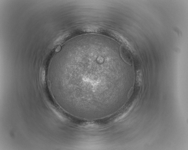 X0000115820589200911271139