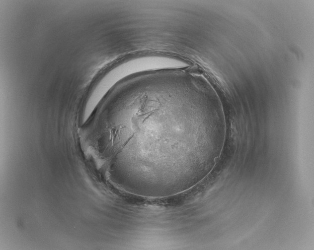 X0000115820592200911271139