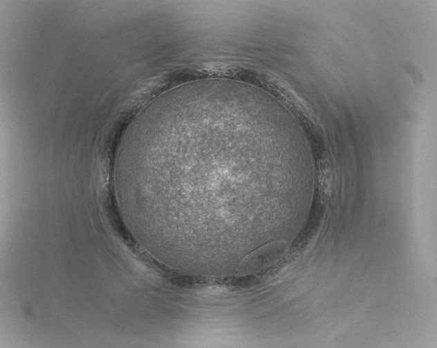 X0000115820593200911271139