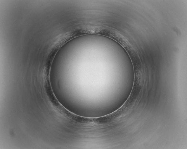 X0000115820594200911271139