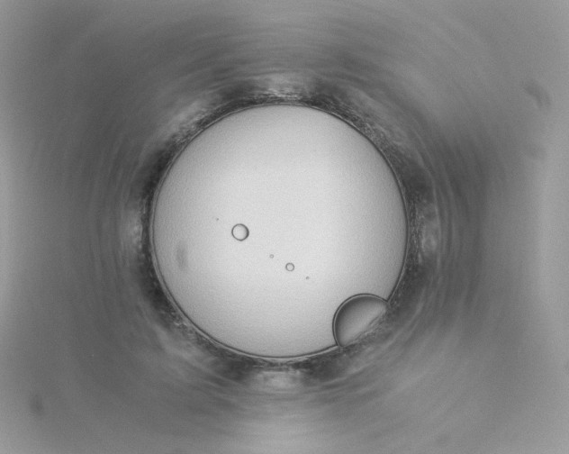 X0000115820595200911271139