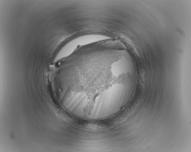 X0000115820596200911271139