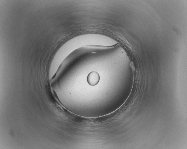 X0000115820597200911271139