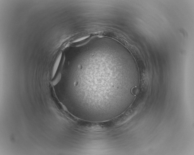 X0000115820600200911271139