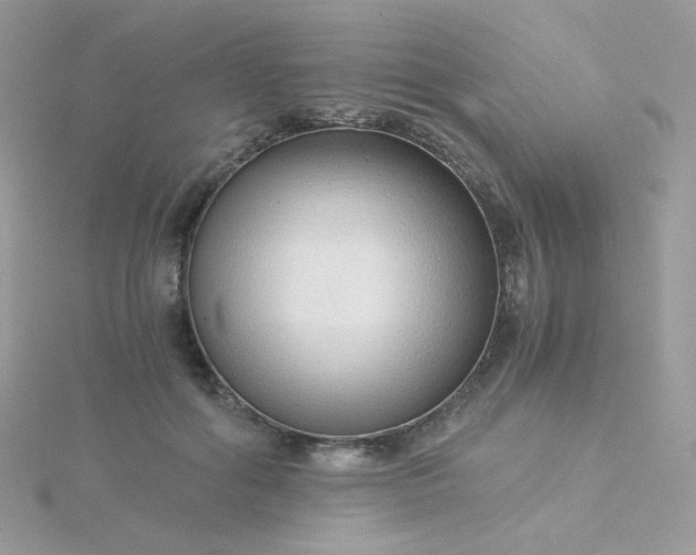 X0000115820602200911271139