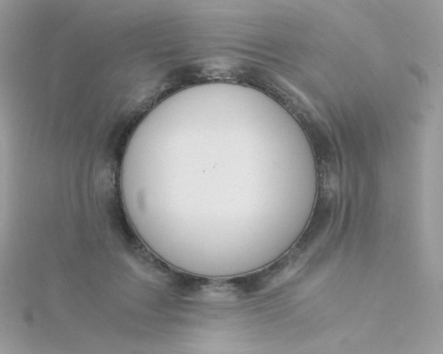 X0000115820603200911271139