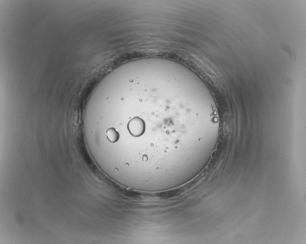 X0000115820605200911271139